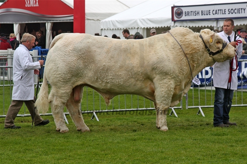 WCC Nagy-Britannia 2012 - Helge